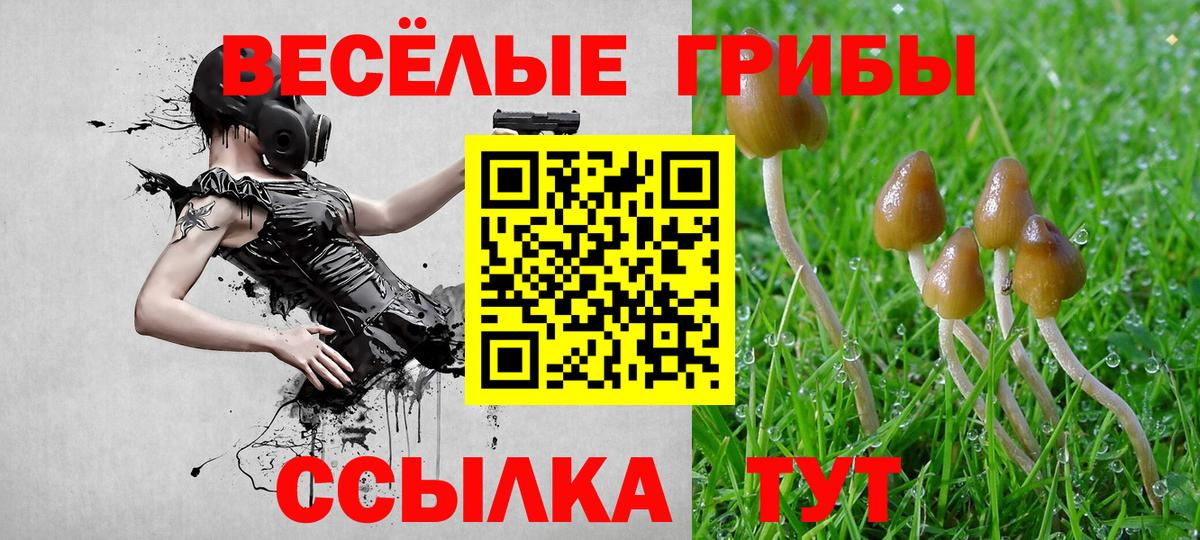 Гудермес  Псилоцибиновые грибы мухоморы  Вход с VPN 