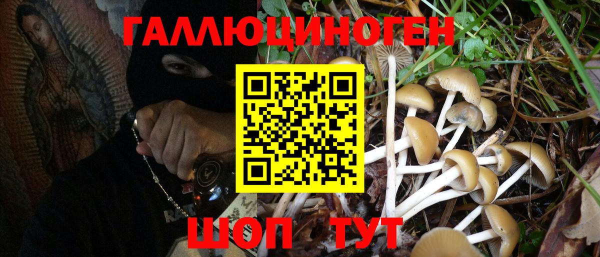 Псилоцибиновые грибы Magic Shrooms Гудермес